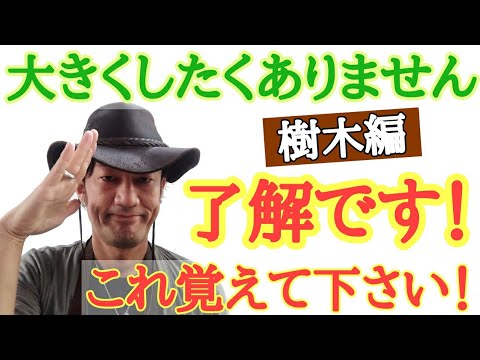 【切るならここでしょ！】園芸店長が植物の剪定の仕方を教えます　植物を切ったことがない方必見です。切りたくて仕方がなくなります　　剪定方法の中から透かし剪定を教えます  japan garden