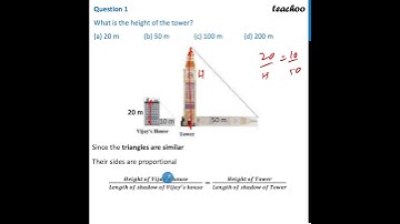 Case Based - What is the height of the tower? (a) 20 m - Teachoo