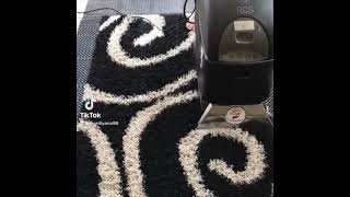 Rcs Carpet Cleaning Clean Hydro