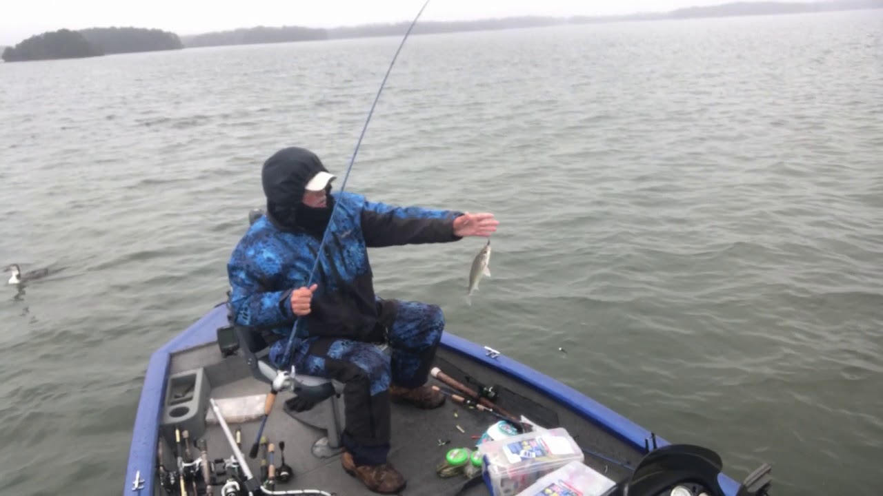 Adapting To Deeper Water To Catch White Perch YouTube