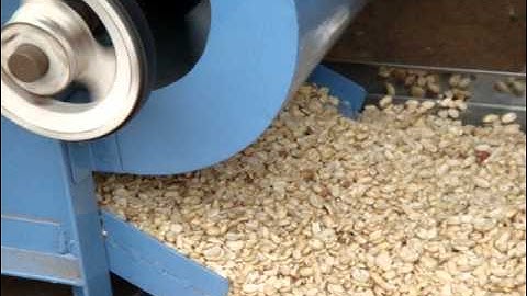 Peanuts Peeling machine 2 Piece.MPG