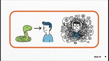 Tại sao nên học Python? Bắt đầu hành trình Lập trình viên từ con số 0