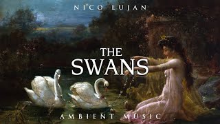 The Swans