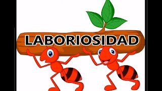 Laboriosidad - Wilfredo Yac