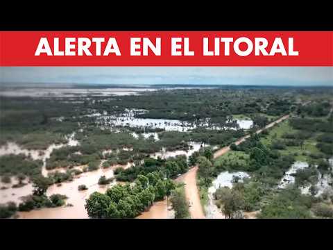 The Litoral underwater: The Uruguay River is rising and Santo Tomé is centimeters from the alarm ...
