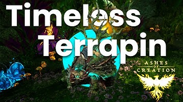 Ashes Of Creation Mount Spotlight - Timeless Terrapin