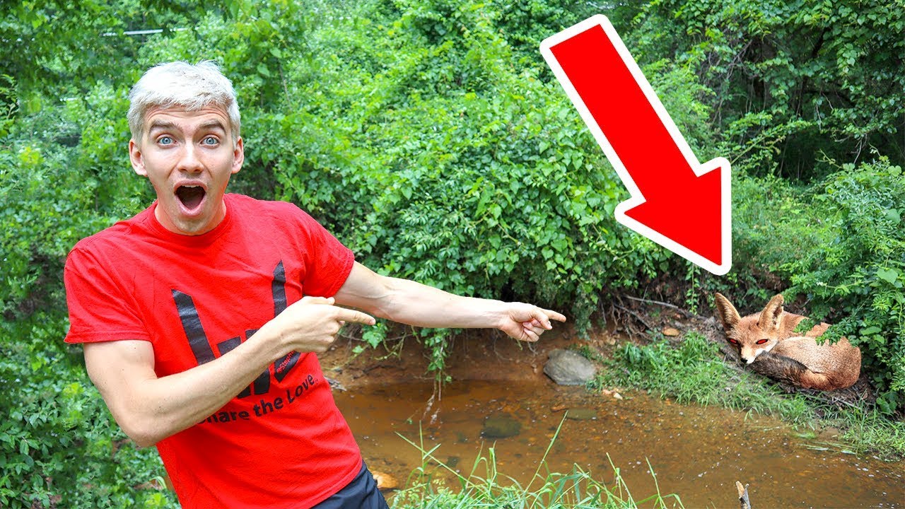 stephen sharer bio BABY MONSTER IN POND FOUND!!