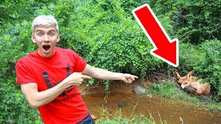 BABY MONSTER IN POND FOUND!!