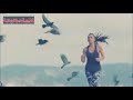 أغنية أبكي ياقلبي نيهان وكمال 