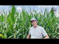 "I Needed to Farm Differently" | A Grower's Experience with StrongSoil