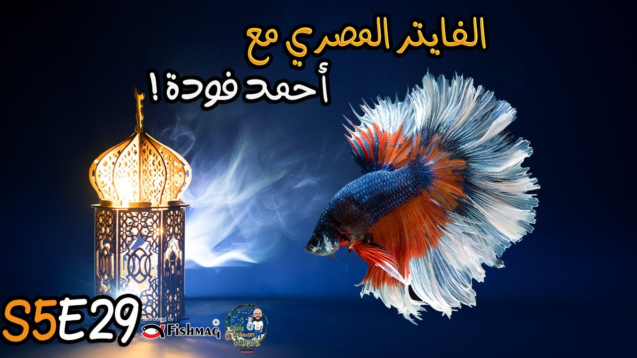 S5E29 - الفايتر المصري مع احمد فودة