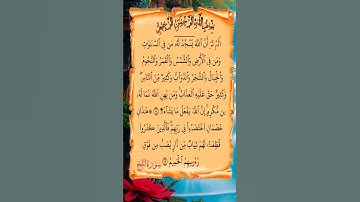 القرآن الكريم سورة الحج صلاح بو خاطر #القرآن_الكريم #راحة_نفسية #اطمئن