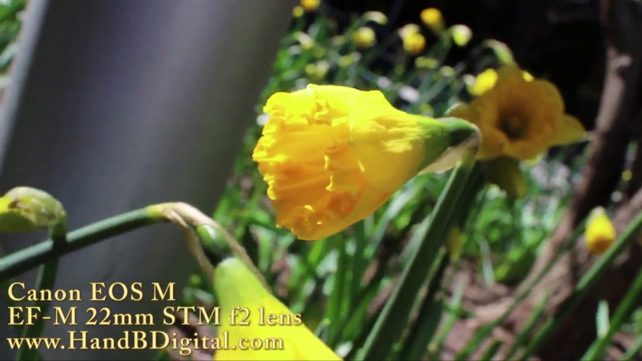 Presents CANON EOS M With 22mm F2 Lens Video Sample