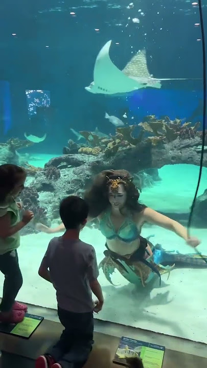 Found the real life Ariel