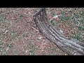 Appalachian Trail thru hike 2026/ Day 27