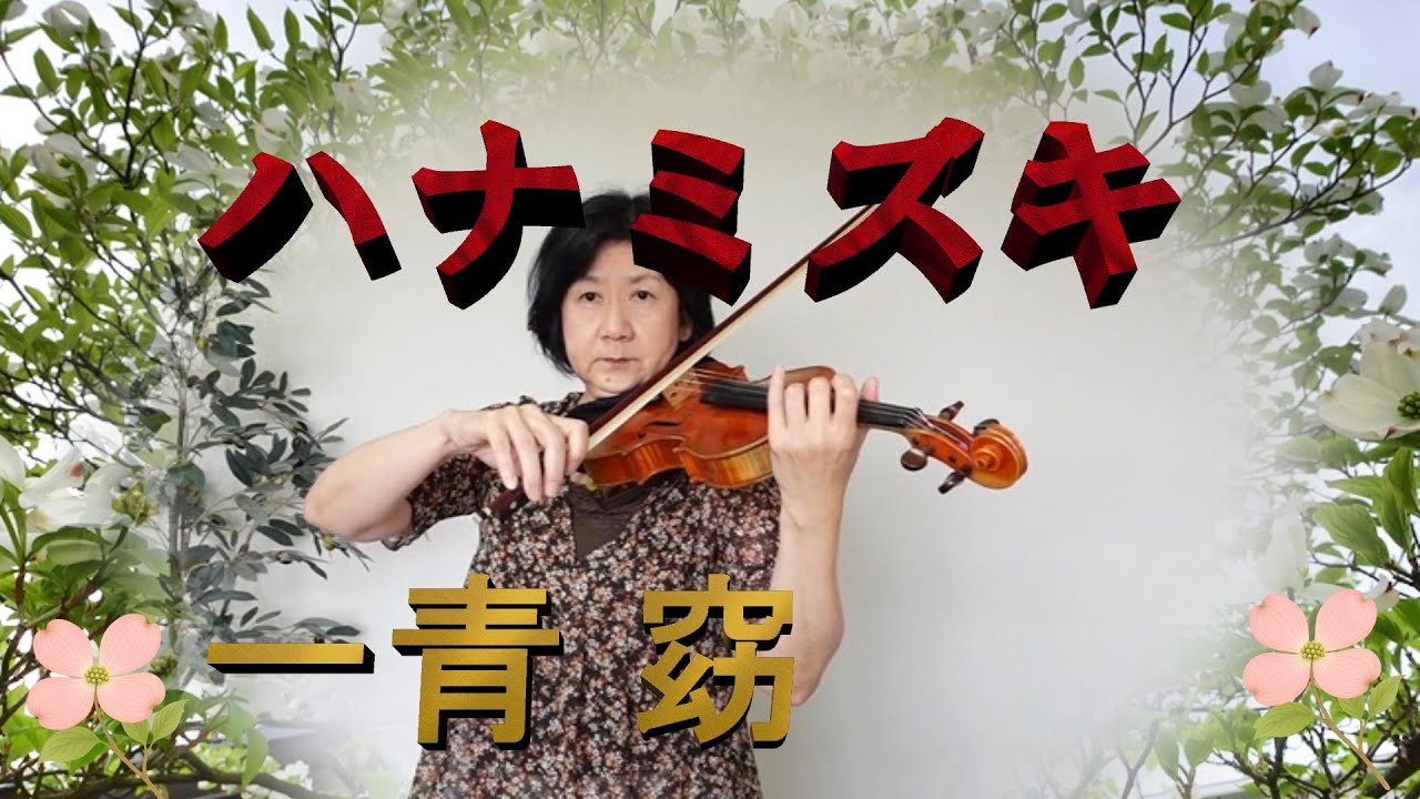 「ハナミズキ」一青窈（ひととよう）作詞：一青窈　作曲：マシコタツロウ【Violin Cover】