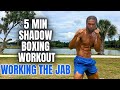 Beginner shadow boxing workout in 5 minutes  working the jab follow along