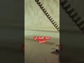 قصة أغرب من الخيال لكنها حقيقة