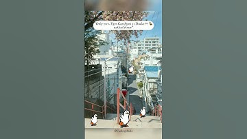 Can you Find 11 ducks👀 in this scene💯❌ #find #funshorts #brainchallenge #funny #hidden #memes