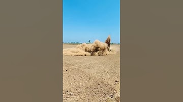 Swift dzire off-roading stunt |swift lover status video