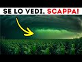 Se Vedi Il Cielo Diventare Verde, Cerca Subito Un Riparo!