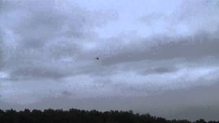 first flight Trex 600 pro