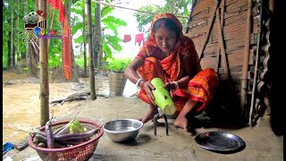 RURAL LIFE OF BENGALI COMMUNITY IN ASSAM, INDIA , Part  -  57   ...