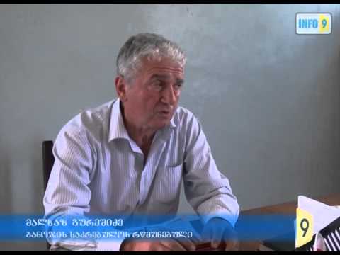 გამგებლის პირობა