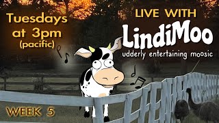Live with LindiMoo Moosic - Week 5 Net Worth