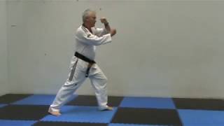 05a Forward Stance Rising Block