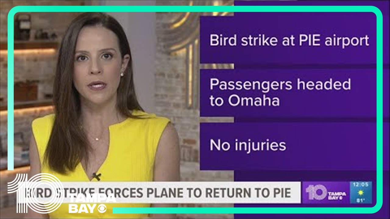 Bird strike forces Allegiant flight to return to PIE shortly after