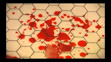 A Long Day in the Life of a Sock Puppet