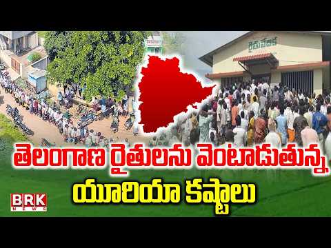 తెలంగాణ రైతులను వెంటాడుతున్న యూరియా కష్టాలు |  Farmers Struggling For Urea in Telangana | BRK News - TV9