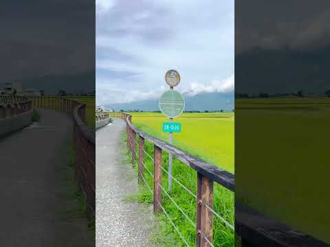 伯朗大道Mr. Brown Avenue池上環鄉自行車道