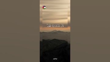 ✨️...و أصلح لي شاني كله  !🇵🇸🍉#قرآن #اكسبلور #تلاوة_خاشعة #islamic #المصحف #فلسطين #غزة