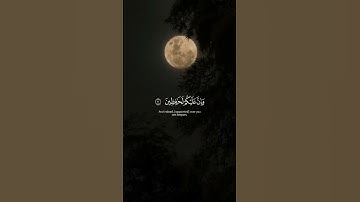 احترم القرآن الكريم اكتب شيء تؤجر عليه 😴💚