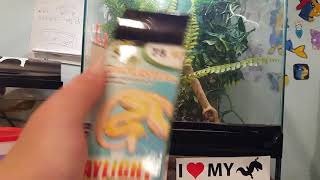 The best house gecko care guide on youtube!  (Read description for more info)