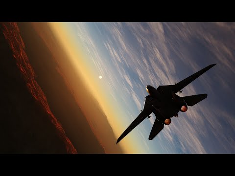 P R E S E N C E | F-14 TOMCAT | DCS World