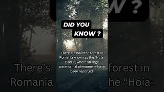 Spooky Facts 001