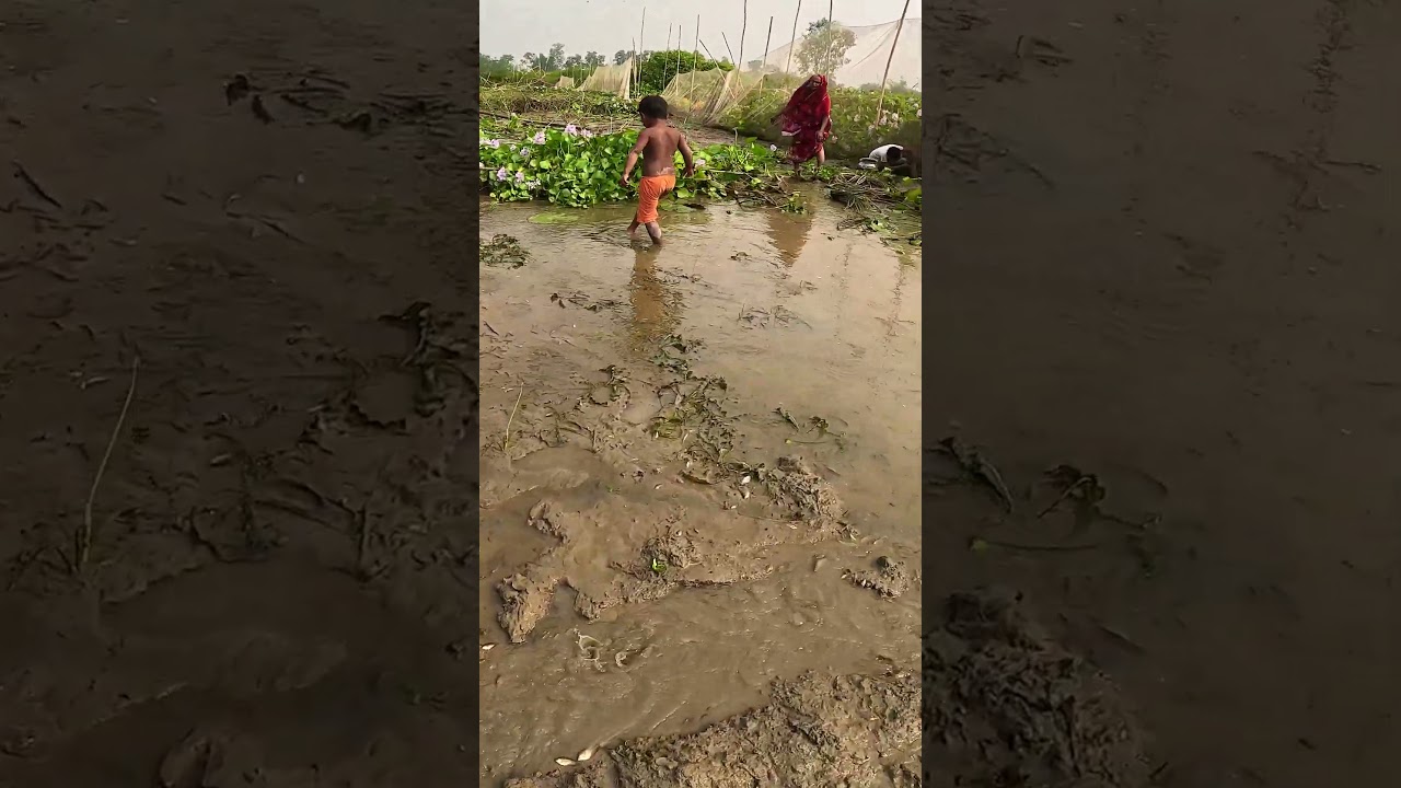 Amazing River Muddy Fishing Video 