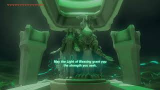 Zelda Tears of the Kingdom Part 10 Nothing but Shrines