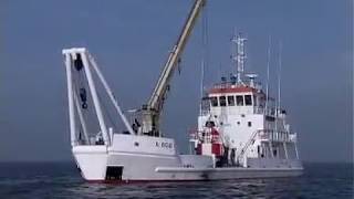 Damen Company Movie Engilish Classic