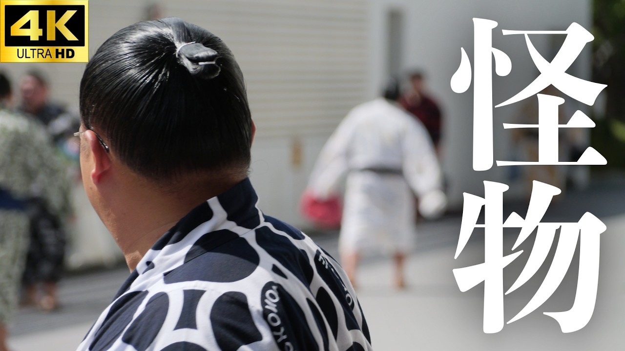 【大相撲 幕下＋？】止まらぬ進撃の予感…【九月場所 sumo】