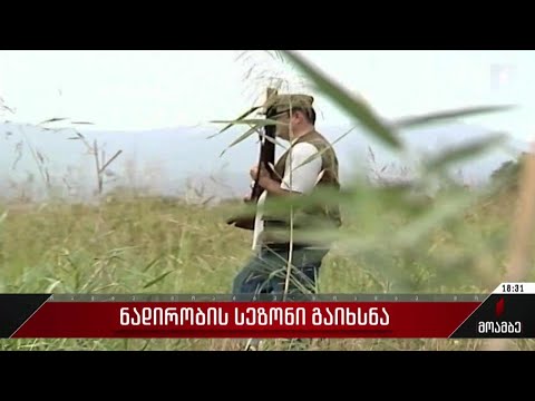 ნადირობის სეზონი გაიხსნა