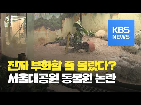 ‘멸종위기종’ 새끼뱀 얼려 죽여…<strong>서울대공원</strong> ‘뱀 폐사’ 논란 / KBS뉴스(News)