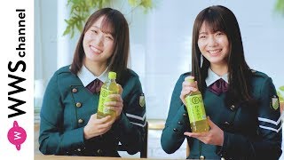 欅坂46 菅井友香、田村保乃が「伊右衛門」の魅力をレポート