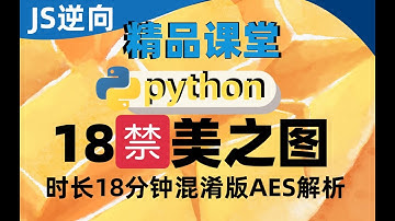 【JS爬虫进阶实战第六集】某图混淆版AES解析！图灵何老师出品Python逆向天花板级案例！|JS逆向数据加密