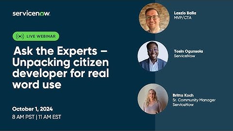Ask the Experts -- Citizen Development Best for real world use