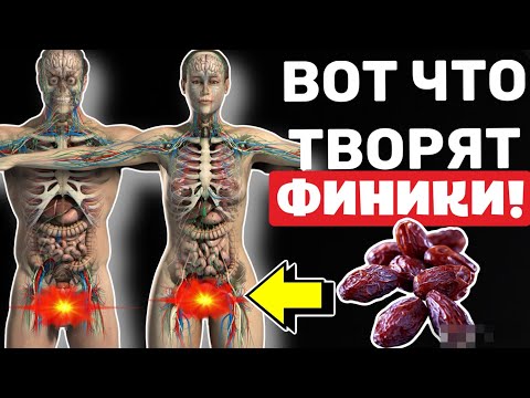 Даже 1 финик съеденный натощак может вызвать НЕОБРАТИМЫЕ ПРОЦЕССЫ В организме. Что творят финики?