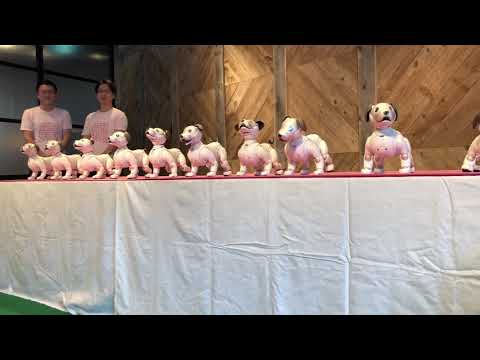 10体のaiboによるお祝いダンス、バラバラだけど可愛い